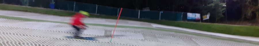 Racer-ish. ‘The Slalom Problem’ – Part 5